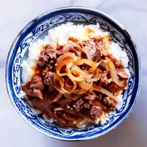 Tanindon : une délicieuse recette de donburi au bœuf et aux œufs