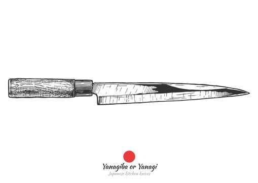Un couteau japonais Yanagiba