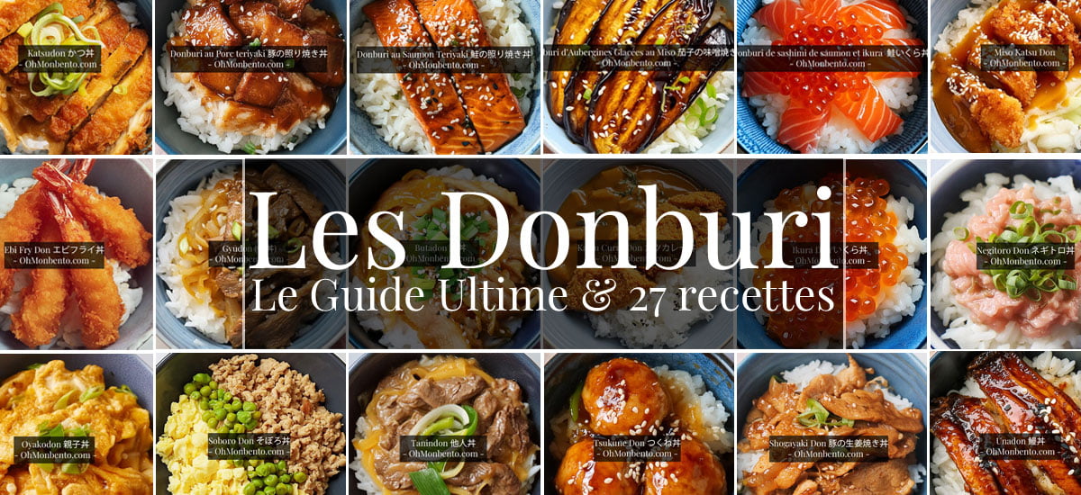 [Guide] Tout Savoir Sur Les Donburi + 27 Recettes Délicieuses ( Cuisine authentique )