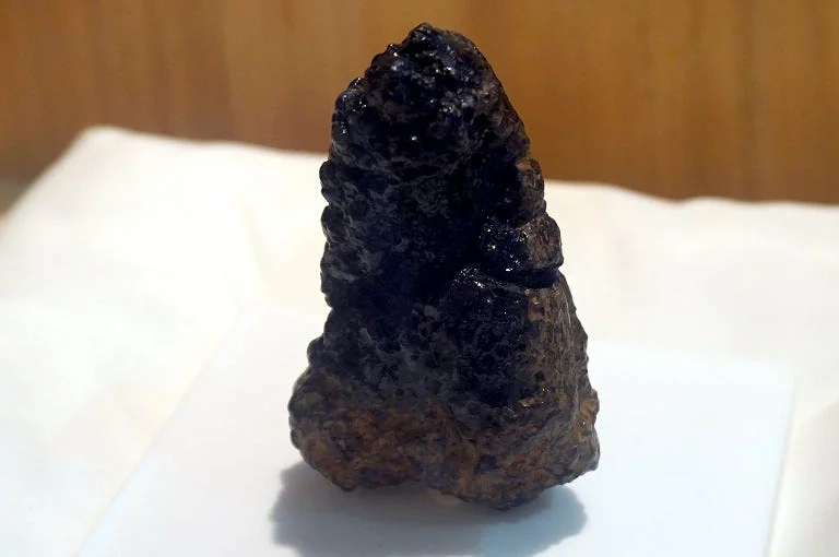 fossile d'onigiri