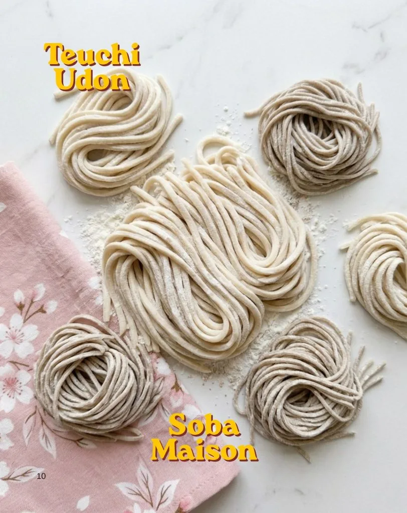 Natsu : 63 Recettes Japonaises Estivales et Traditionnelles 7 Teuchi Udon – Des nouilles épaisses et fraîches à déguster glacées