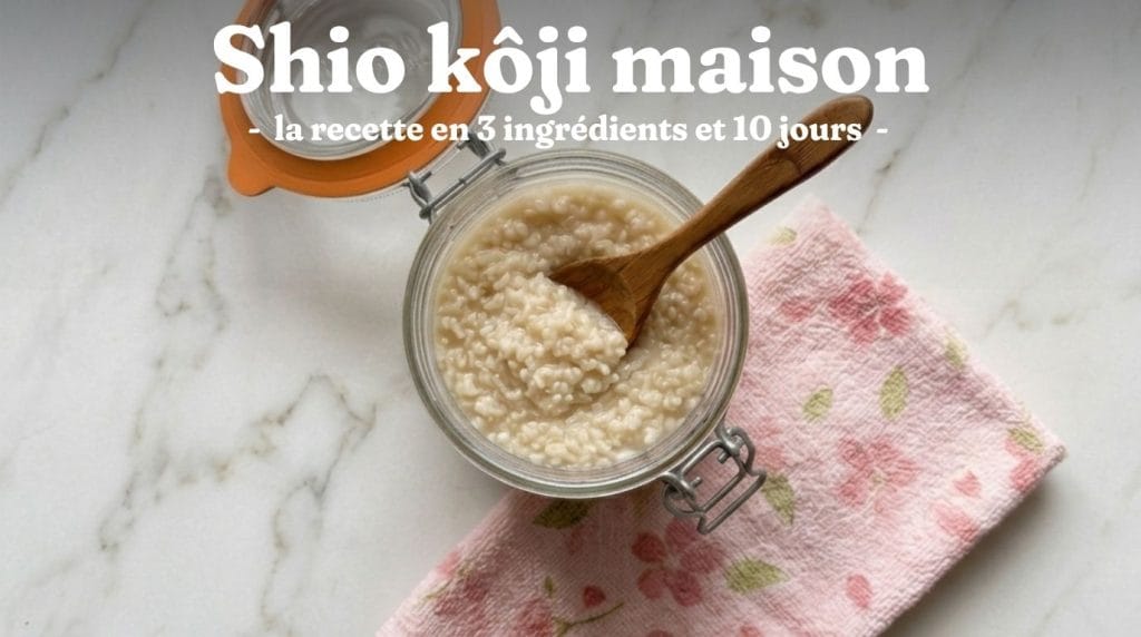 Karaage Shio Koji : le Poulet Frit Japonais au Koji de Riz 7 Shio kôji maison - trois ingrédients, un bocal, dix jours de patience