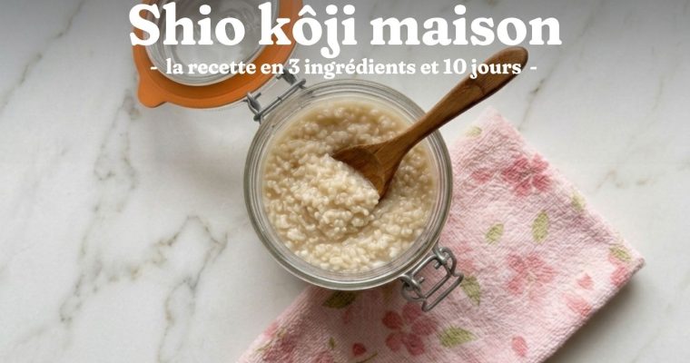 Shio kôji maison : la recette en 3 ingrédients et 10 jours