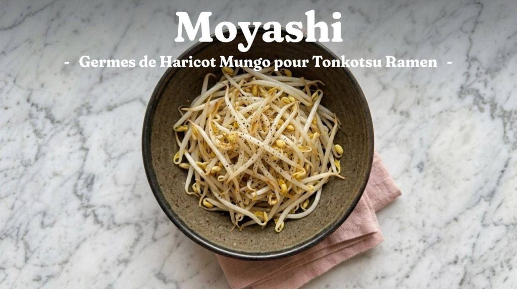 Toppings Ramen : Guide Complet des Garnitures Japonaises pour ramen 24 Le moyashi (germes de haricot mungo, souvent vendus sous l'appellation "pousses de soja") apporte un croquant indispensable pour équilibrer la richesse et la texture crémeuse d'un bouillon tonkotsu.