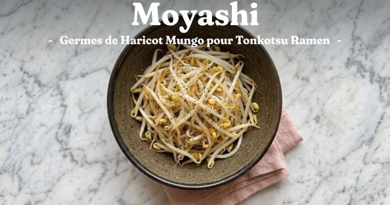 Moyashi Ramen : Germes de Haricot Mungo pour Tonkotsu