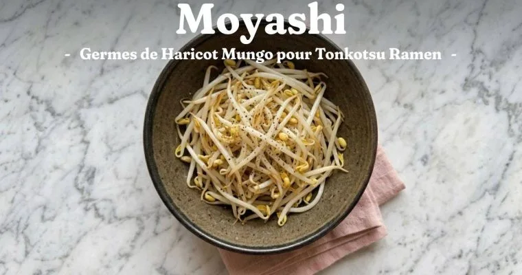 Moyashi Ramen : Germes de Haricot Mungo pour Tonkotsu