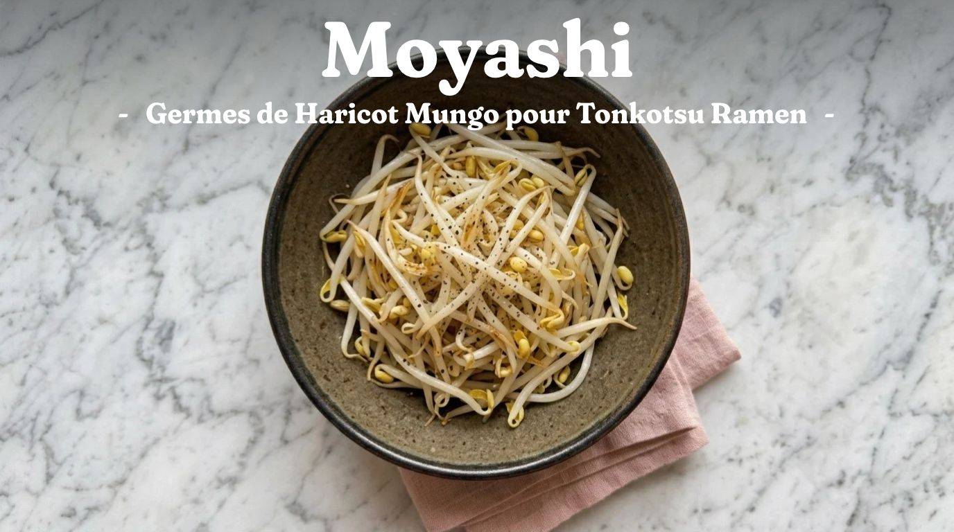 Moyashi Ramen : Germes de Haricot Mungo pour Tonkotsu 1 Moyashi Ramen : Germes de Haricot Mungo pour Tonkotsu